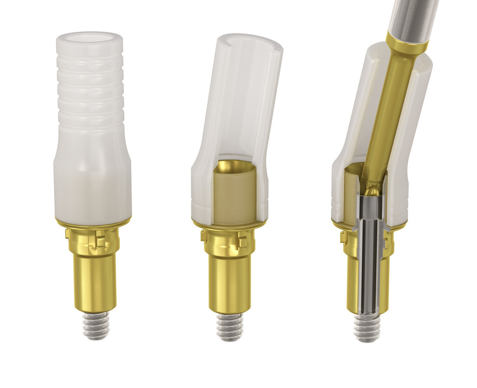 Individual-abutments-Aurum-base-up-to-25-inclination-milling_1/dess_aurumfinal-217